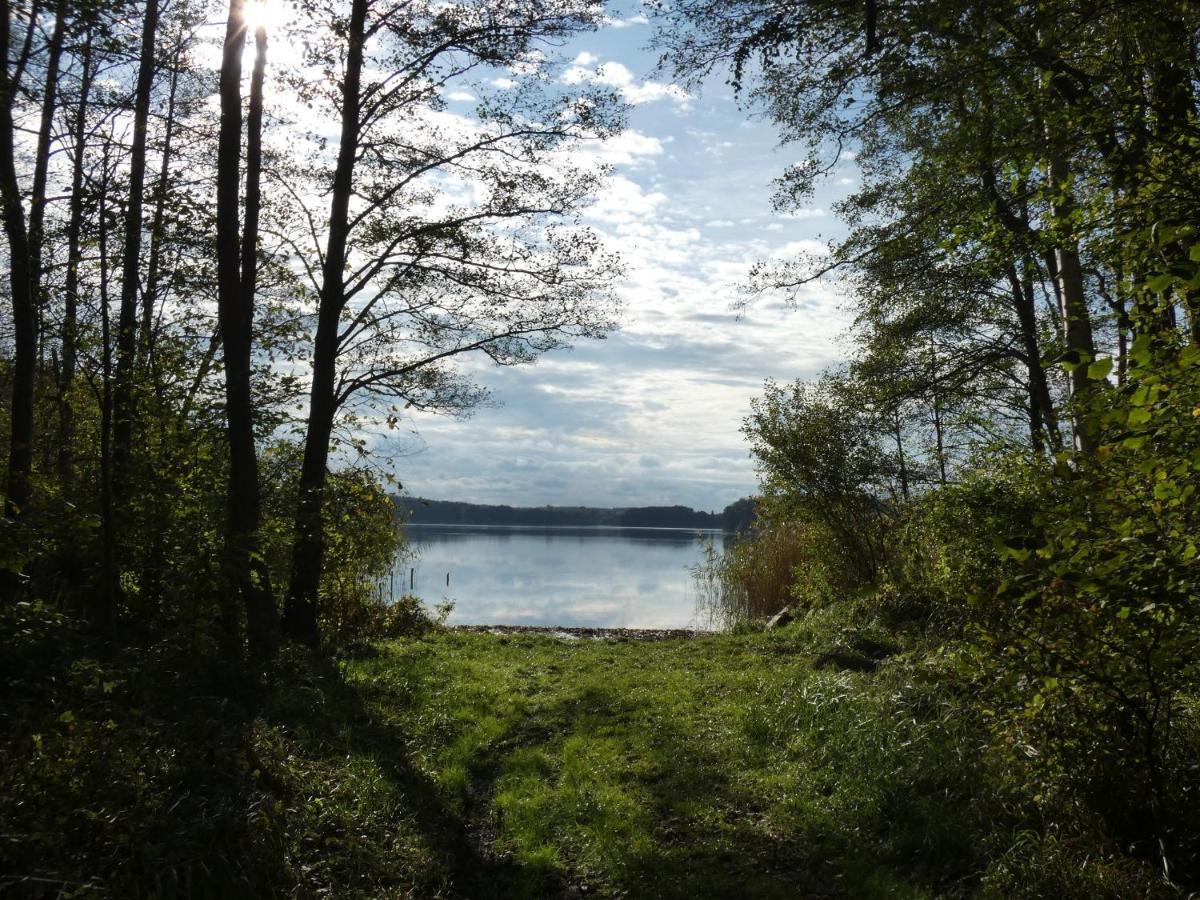 شقة فيسينبيرغ  في Ferienhaus Mit 2 Fewo In Mecklenburg المظهر الخارجي الصورة